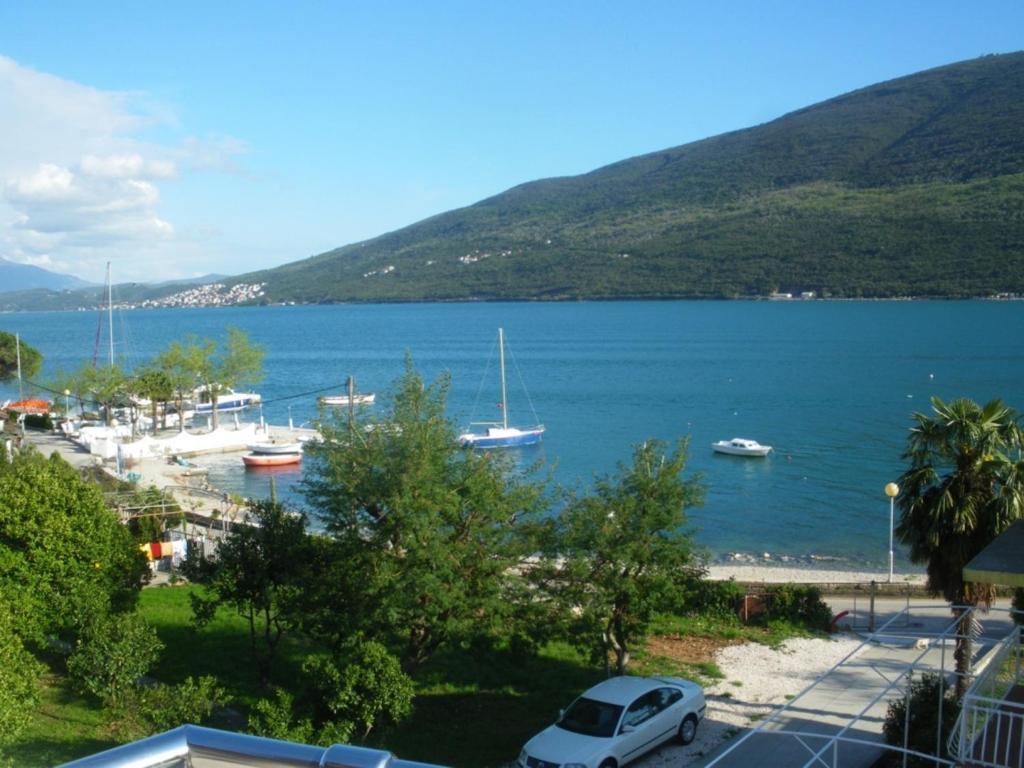 Apartment Dakic Χέρτσεγκ Νόβι Δωμάτιο φωτογραφία